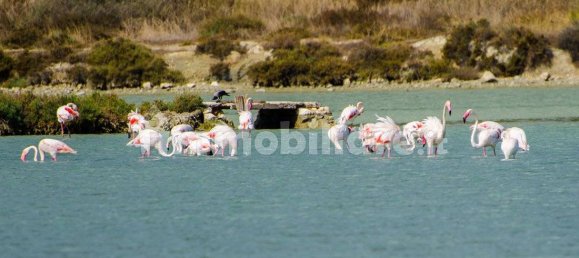 1غرفة عقار تجاري في Cagliari, Italy رقم 210536 19