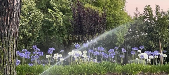 4 bedrooms House in Azambuja, Portugal No. 121212 17