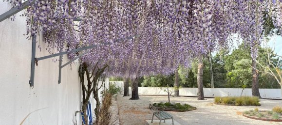 4 bedrooms House in Azambuja, Portugal No. 121212 22