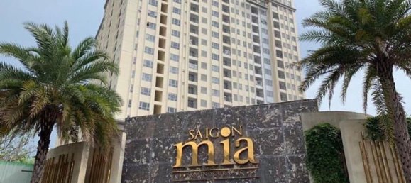 2 bedrooms Apartment in Binh Chanh, Vietnam No. 16556 8