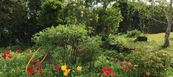 Bungalow de 3 habitaciónes en Trausdorf an der Wulka, Austria No. 174940 8