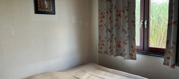 Bungalow de 3 habitaciónes en Trausdorf an der Wulka, Austria No. 174940 12