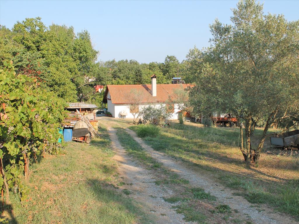 Imóvel comercial T2 em Pieria, Greece N.º 6102