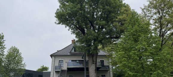 12غرفة فيلا في Hausmannstatten, Austria رقم 174595 7