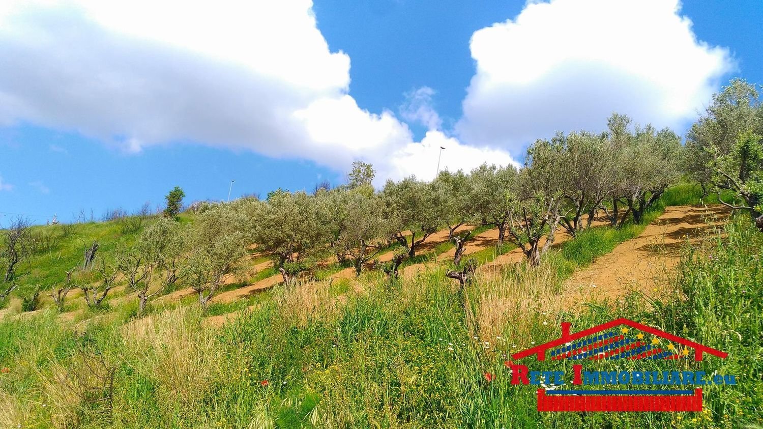 62000m² Land in Cosenza, Italy No. 136670