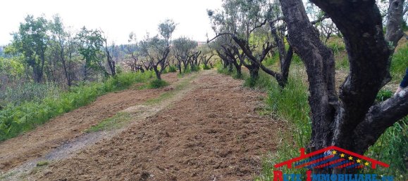 62000m² Land in Cosenza, Italy No. 136670 3