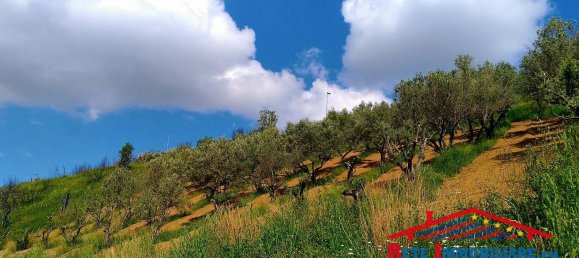 62000m² Land in Cosenza, Italy No. 136670 2