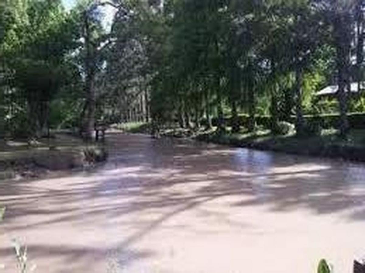  Commercial property in Tigre, Argentina No. 107700