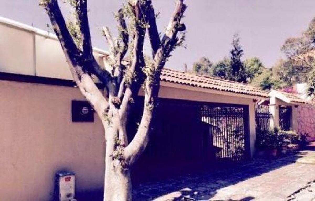 Moradia T3 em Mexico N.º 219255