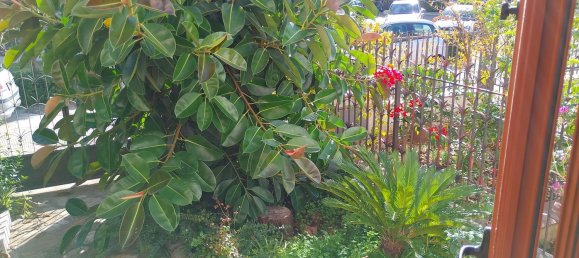 12 rooms Villa in Policoro, Italy No. 168169 18