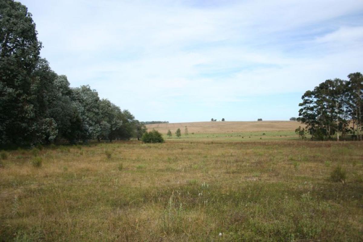  Farm in Maldonado, Uruguay No. 14056