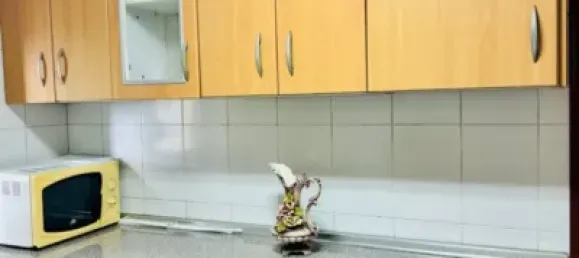 2 bedrooms House in Langreo, Spain No. 167884 13