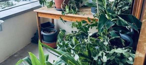 Apartamento T2 em Baden-Wurttemberg, Germany N.º 46595 17