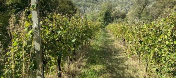 Земельный участок 12000м² в Петруро Ирпино, Италия № 85204 3