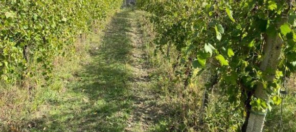 Земельный участок 12000м² в Петруро Ирпино, Италия № 85204 4