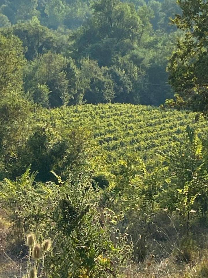 Земельный участок 12000м² в Петруро Ирпино, Италия № 85204