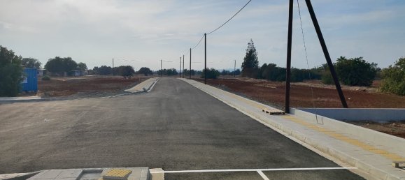 1642m² Land for sale in Mazotos, Larnaka, Cyprus № 181185 5