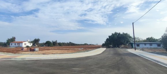 1642m² Land for sale in Mazotos, Larnaka, Cyprus № 181185 2