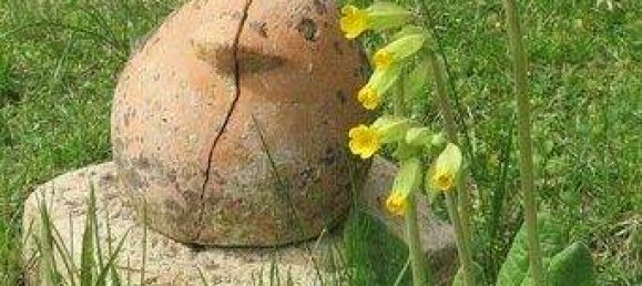 5غرفة منزل في Rosenburg-Mold, Austria رقم 246336 40