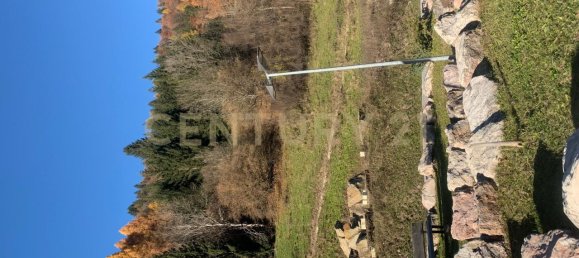 4غرفة فيلا في Cibiana di Cadore, Italy رقم 142934 47