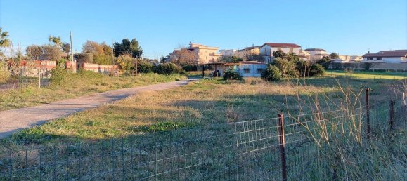 3770m² Land in Anzio, Italy No. 121051 5