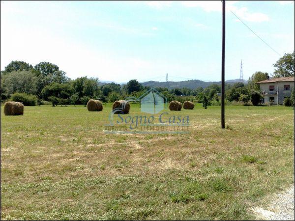 5000m² Land in Sarzana, Italy No. 154911