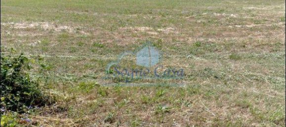 5000m² Land in Sarzana, Italy No. 154911 4