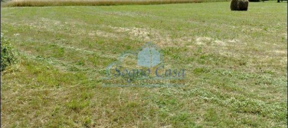 5000m² Land in Sarzana, Italy No. 154911 2