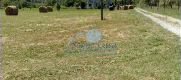 5000m² Land in Sarzana, Italy No. 154911 3