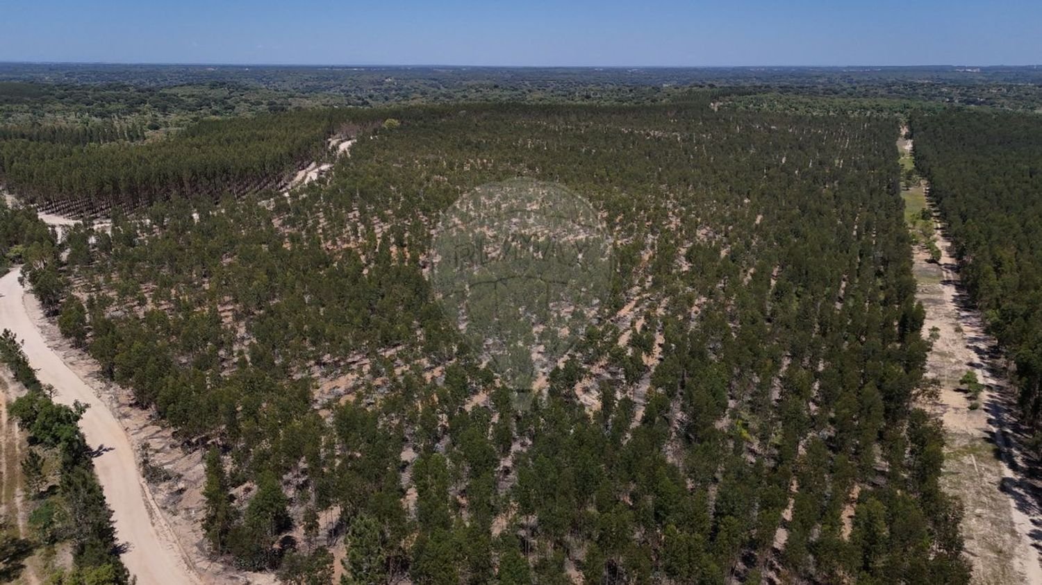 Casa T4 em Coruche, Portugal N.º 193144