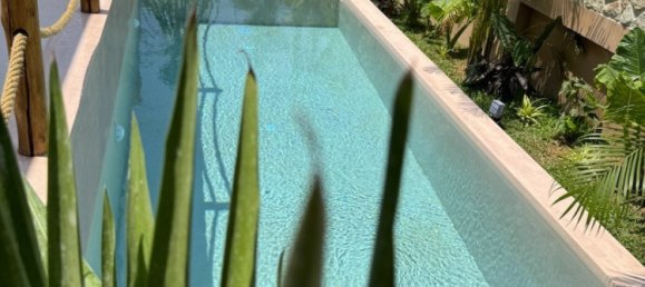 3 bedrooms Cafe / restaurant in Ko Samui, Thailand No. 12850 19