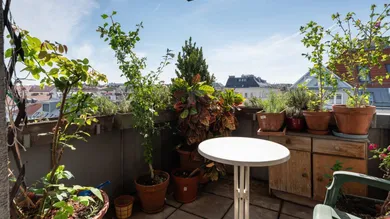 6-Zimmer Wohnung in Margareten, Austria, Nr. 211974