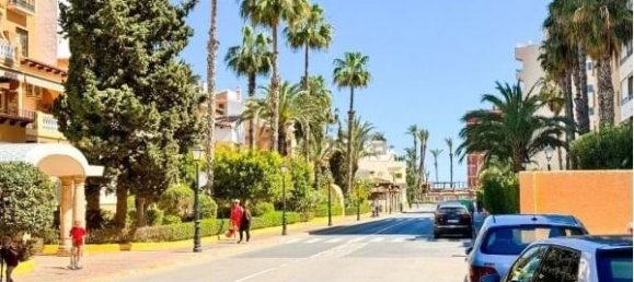 Apartamento de 3 dormitorios en Torrevieja, Spain No. 92428 38