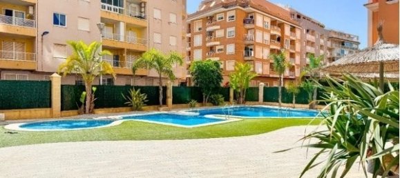 Apartamento de 3 dormitorios en Torrevieja, Spain No. 92428 8