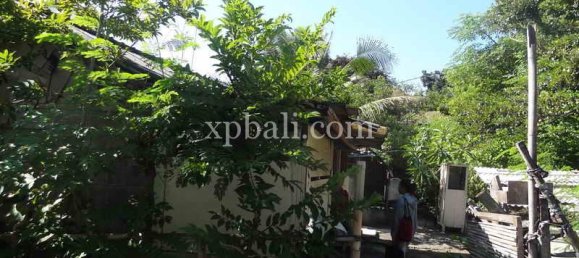 Terrain à South Kuta, Indonesia 375m² No. 4164 10