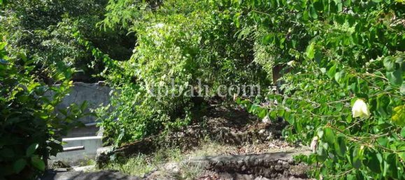 Terrain à South Kuta, Indonesia 375m² No. 4164 2