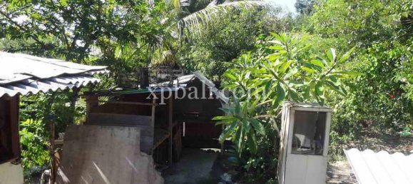 Terrain à South Kuta, Indonesia 375m² No. 4164 11