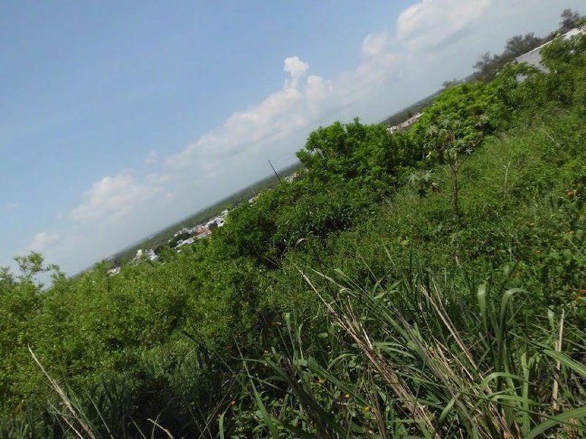  Land in Veracruz, Mexico No. 204543