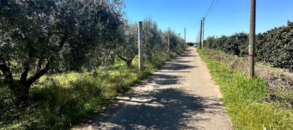 Grundstück in Palagiano, Italy 10679m², Nr. 80777 12