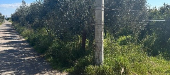 Grundstück in Palagiano, Italy 10679m², Nr. 80777 11