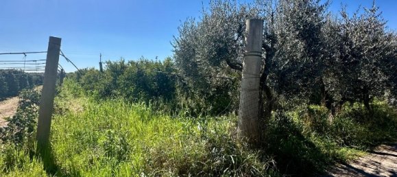 Grundstück in Palagiano, Italy 10679m², Nr. 80777 10