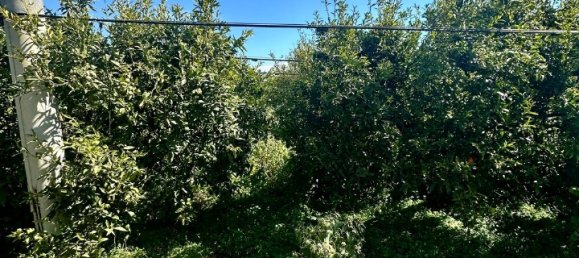 Grundstück in Palagiano, Italy 10679m², Nr. 80777 6