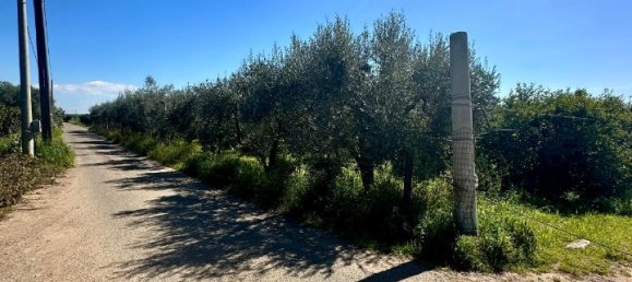 Grundstück in Palagiano, Italy 10679m², Nr. 80777 13