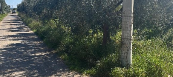 Grundstück in Palagiano, Italy 10679m², Nr. 80777 15