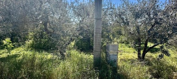 Grundstück in Palagiano, Italy 10679m², Nr. 80777 7