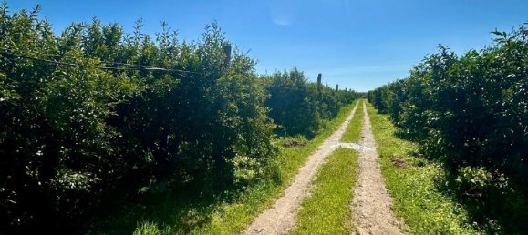 Grundstück in Palagiano, Italy 10679m², Nr. 80777 2