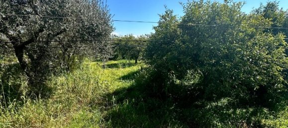 Grundstück in Palagiano, Italy 10679m², Nr. 80777 9