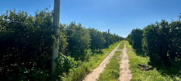 Grundstück in Palagiano, Italy 10679m², Nr. 80777 3