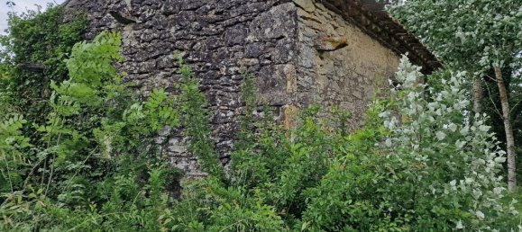 3 غرف نوم منزل في Monsegur, France رقم 337122 10