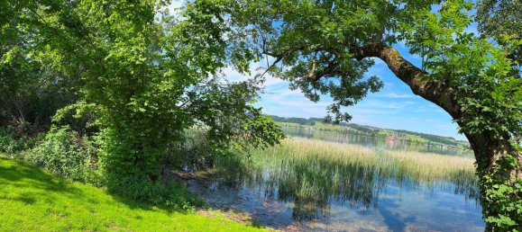 1125m² Land in Mattsee, Austria No. 155820 2